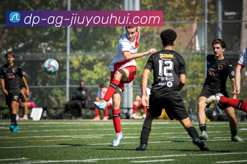 App Interface Preview