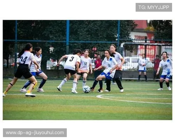 神木野球地方足球发展现状与未来前景探析